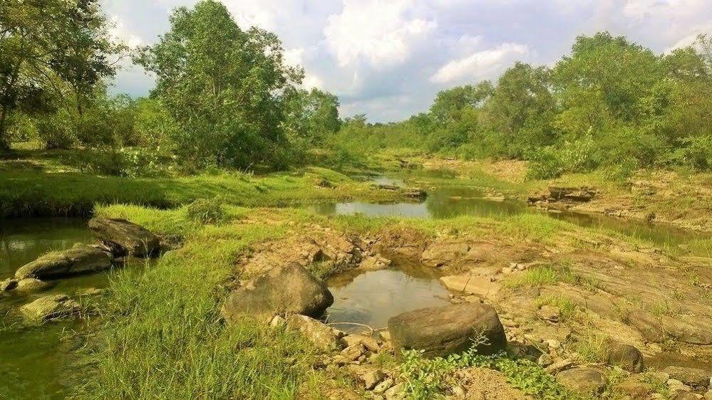 Kula Kula Luxury Camping Resort ウダワラウェ エクステリア 写真