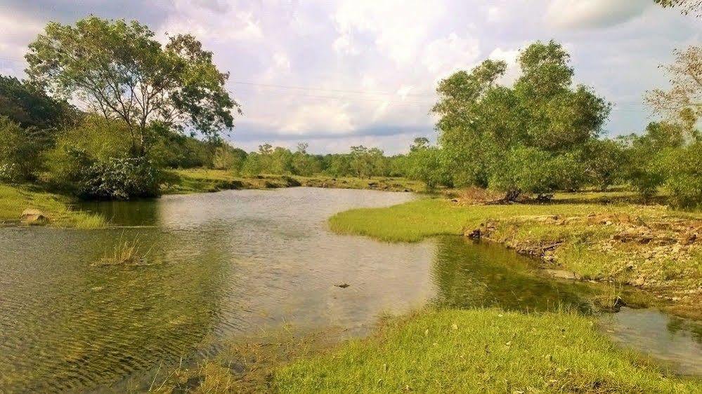 Kula Kula Luxury Camping Resort ウダワラウェ エクステリア 写真